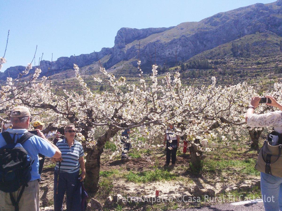 Aparthotel Buhardilla Rustica En La Vall De Gallinera Patró Exterior foto